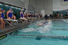 Swimming vs Babson  Wheaton College Swimming vs Babson College. - Photo By: KEITH NORDSTROM : Wheaton, Swimming, Babson